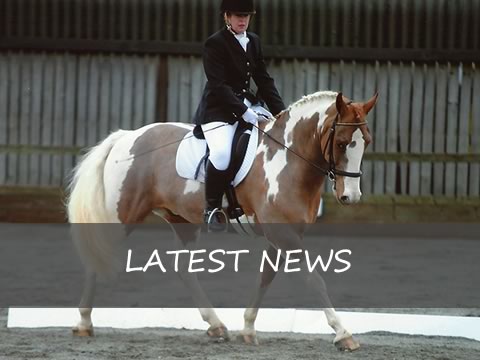 Latest News